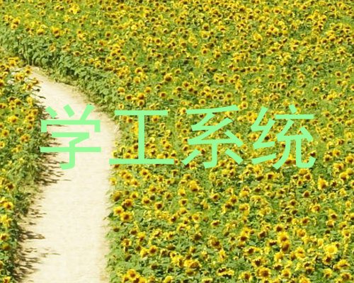 学工系统