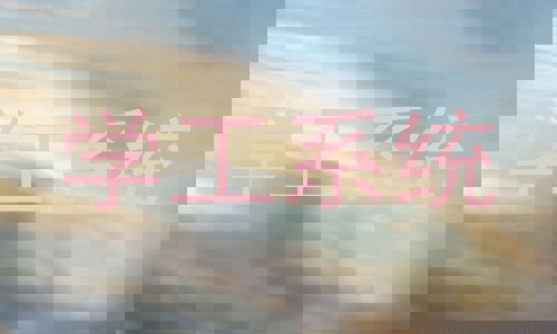 学工系统
