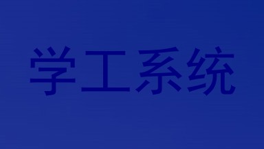 学工系统