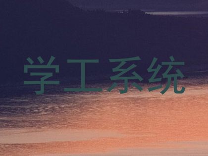 学工系统