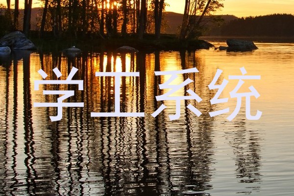 学工系统