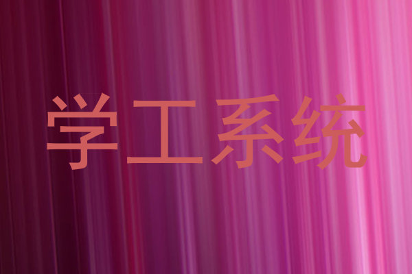 学工系统