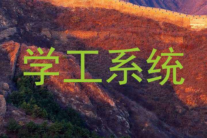 学工系统