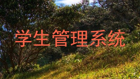 学生管理系统