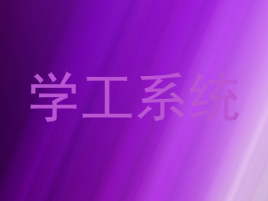 学工系统