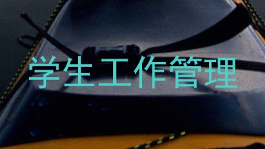学生工作管理