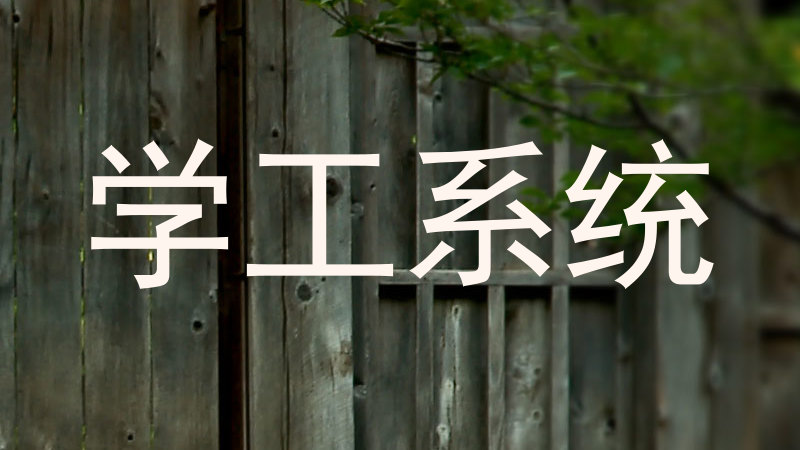 学工系统