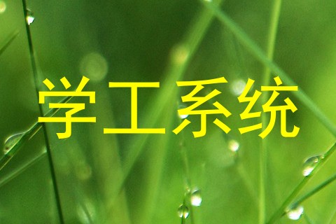学工系统
