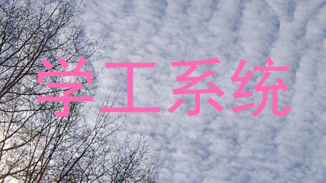 学工系统