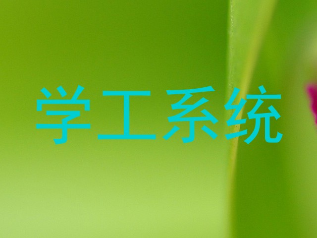 学工系统