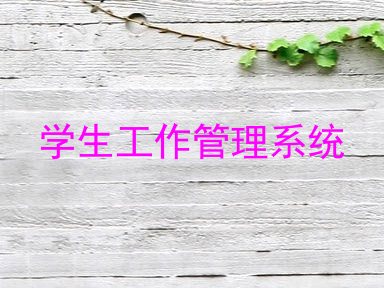 学生工作管理系统