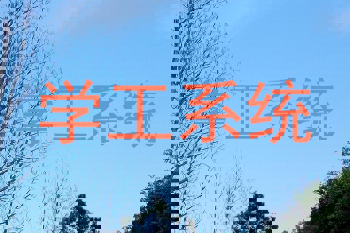 学工系统
