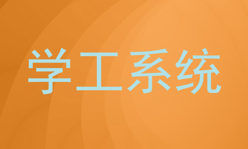 学工系统