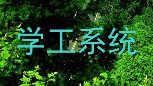 学工系统