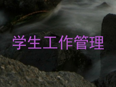 学生工作管理
