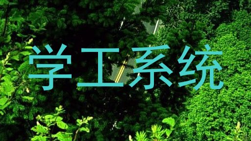 学工系统