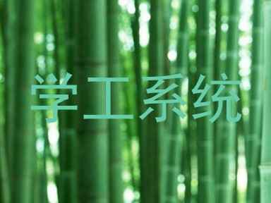 学工系统