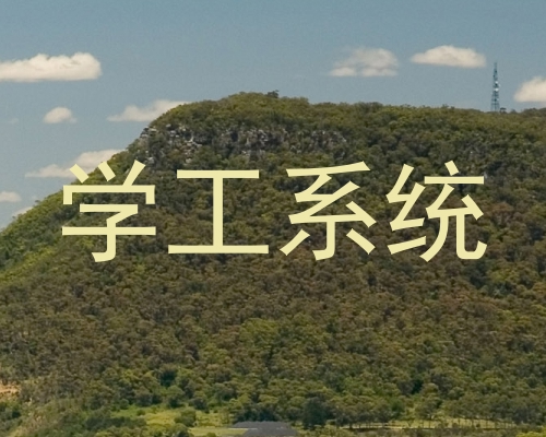 学工系统