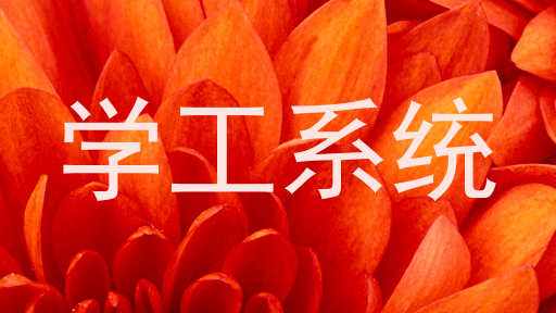 学工系统
