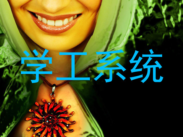 学工系统