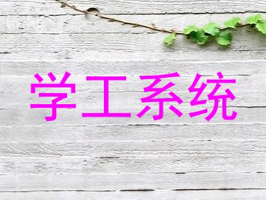 学工系统