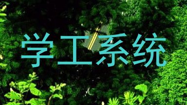 学工系统