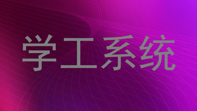学工系统