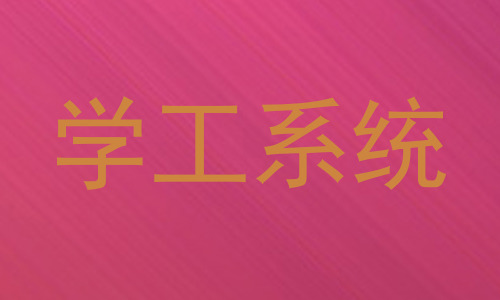 学工系统