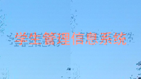 学生管理信息系统