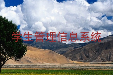 学生管理信息系统