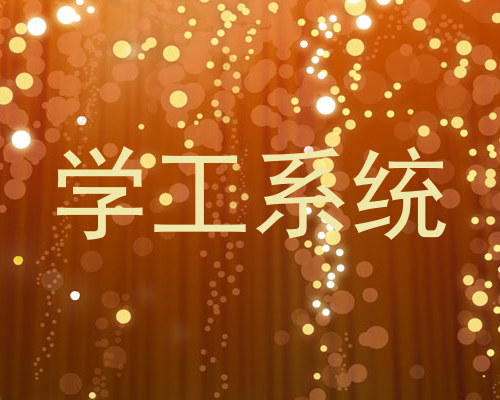 学工系统