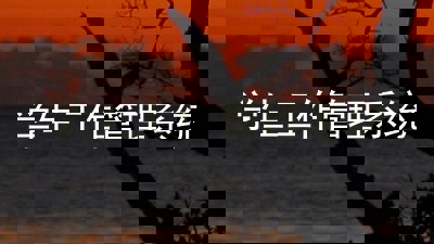 学生工作管理系统