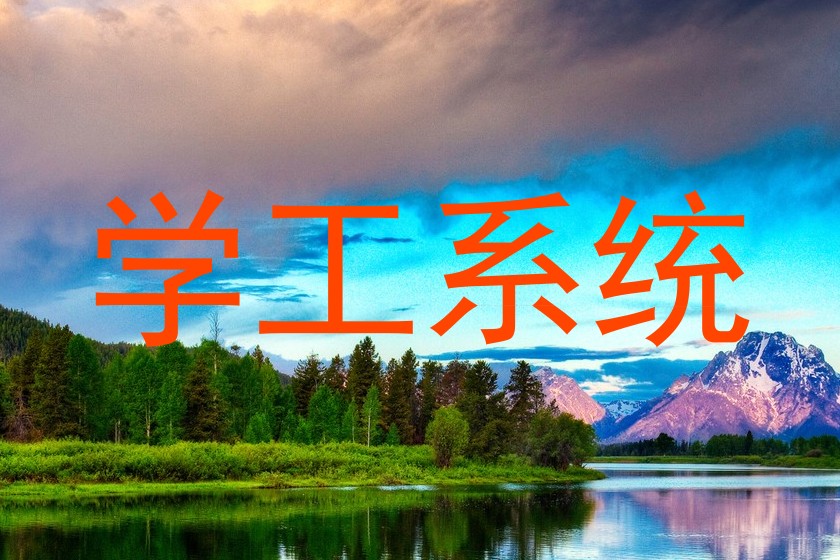 学工系统