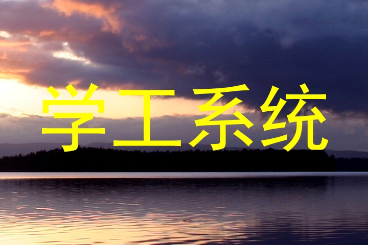 学工系统