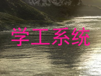 学工系统