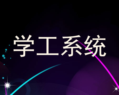学工系统