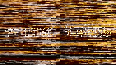 学生工作管理系统