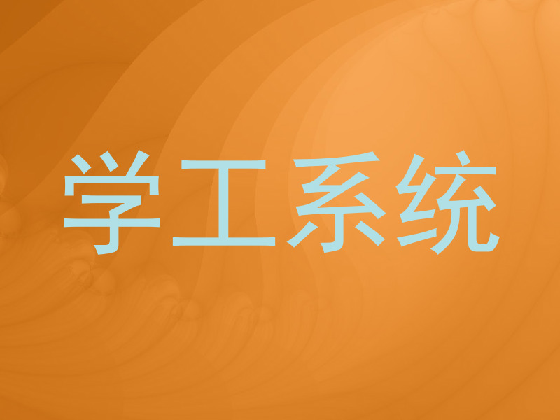 学工系统