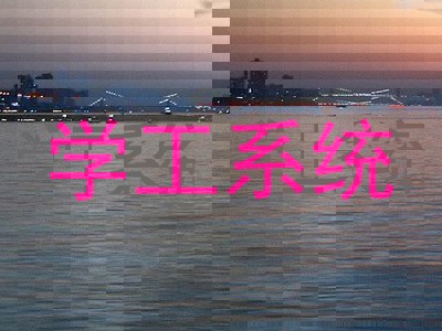 学工系统