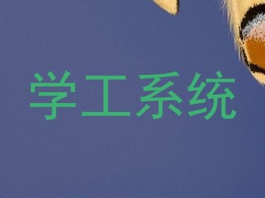 学工系统
