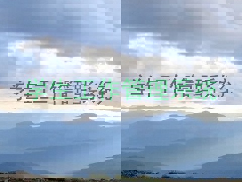 学生工作管理系统