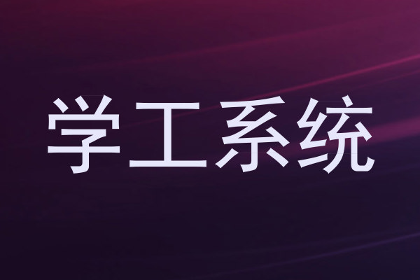 学工系统