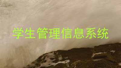 学生管理信息系统