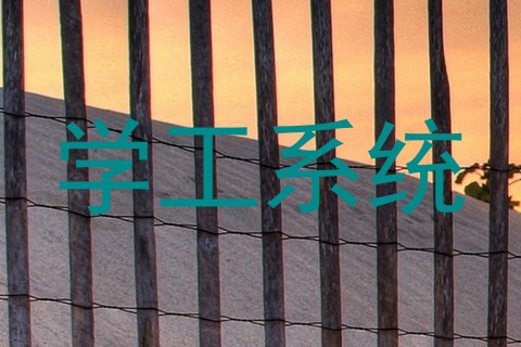 学工系统
