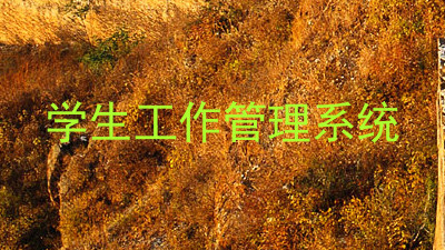学生工作管理系统