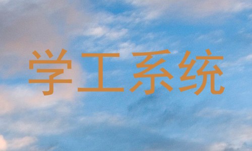 学工系统