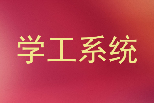 学工系统