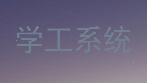 学工系统