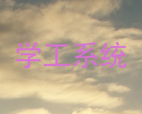 学工系统