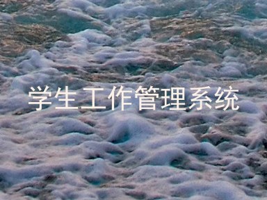 学生工作管理系统
